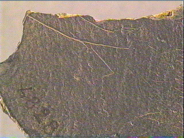 Plaquette (fragment)_5