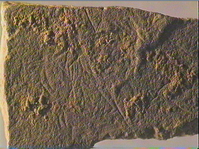 Plaquette (fragment)_3
