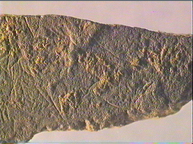 Plaquette (fragment)_4
