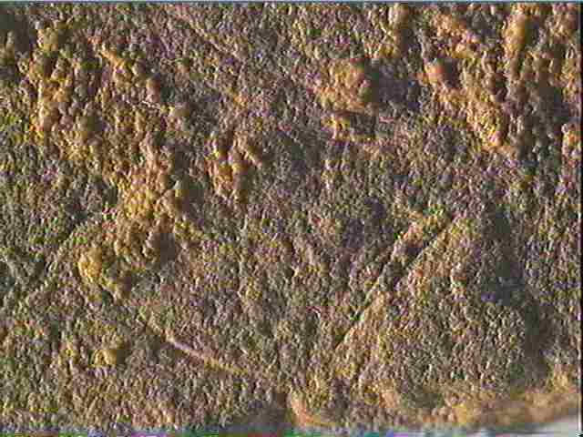 Plaquette (fragment)_5