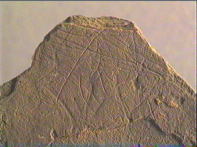 Plaquette (fragment)_3