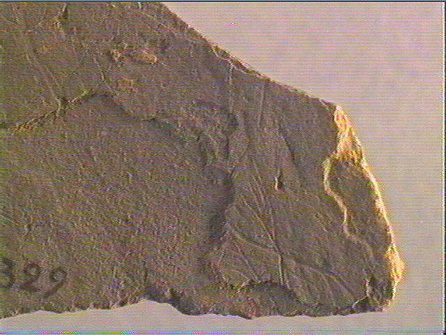 Plaquette (fragment)_5