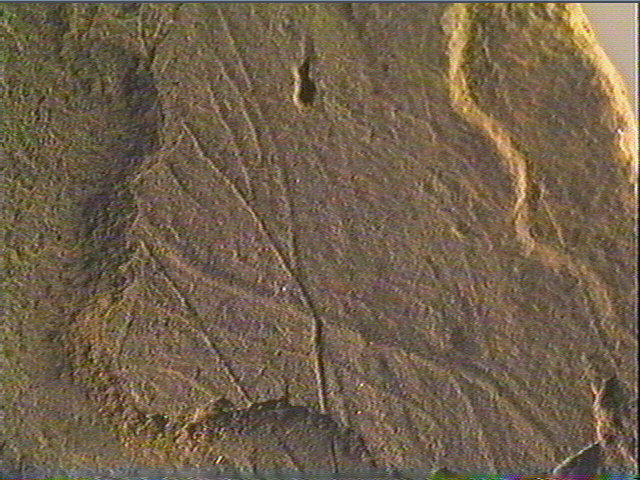 Plaquette (fragment)_6