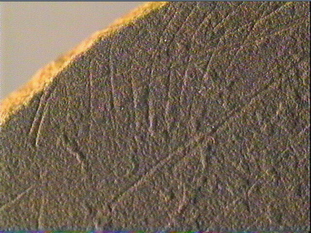 Plaquette (fragment)_5