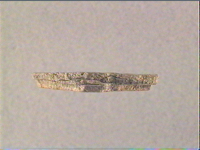 Plaquette (fragment)_1