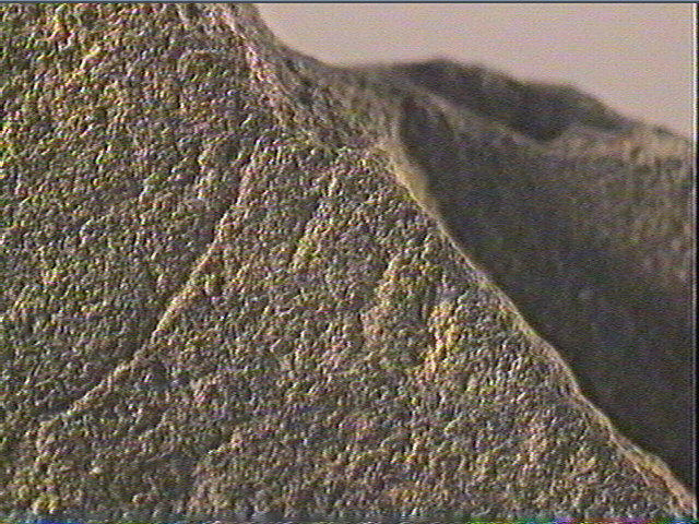 Plaquette (fragment)_5