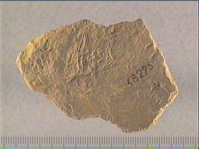 Plaquette (fragment)_0