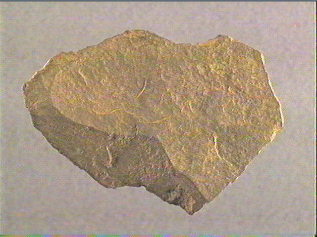 Plaquette (fragment)_2