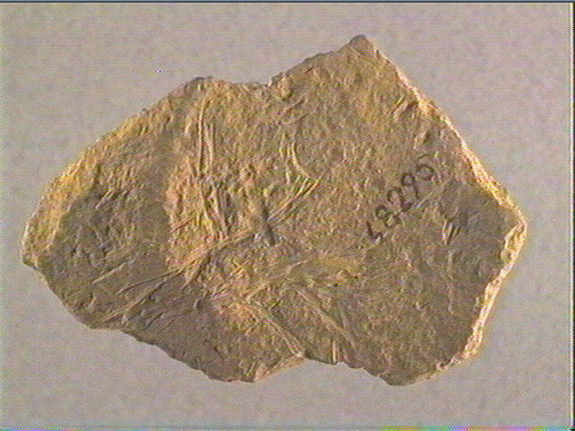 Plaquette (fragment)_3