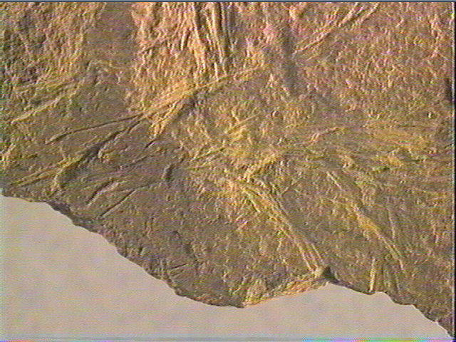 Plaquette (fragment)_5