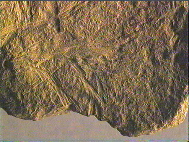 Plaquette (fragment)_6