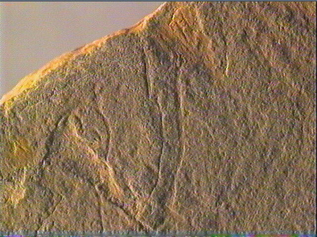 Plaquette (fragment)_4