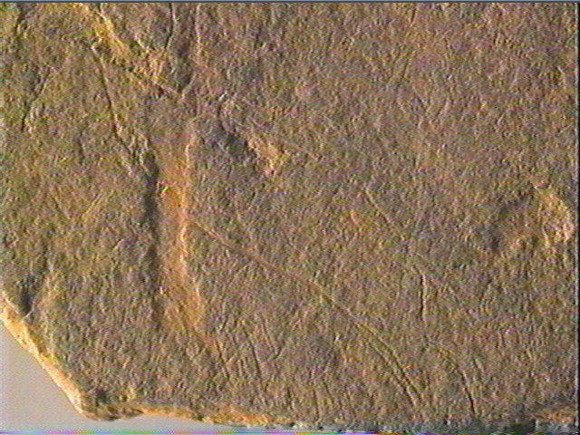 Plaquette (fragment)_5
