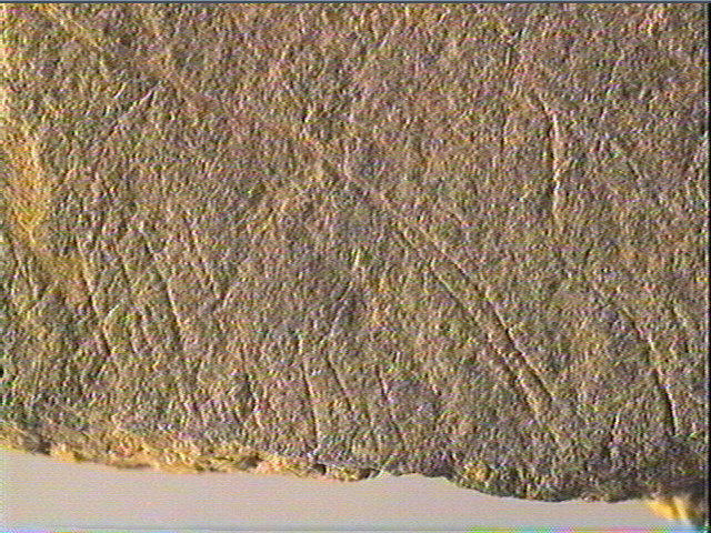 Plaquette (fragment)_6