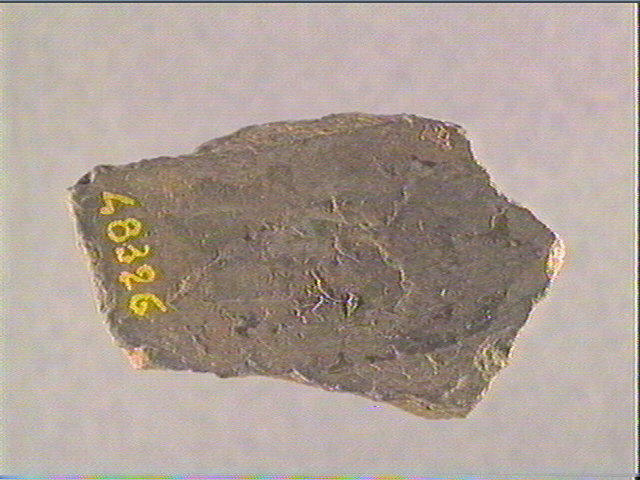 Plaquette (fragment)_2