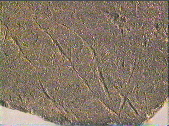 Plaquette (fragment)_6