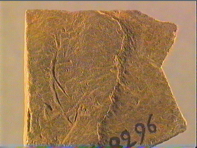 Plaquette (fragment)_3
