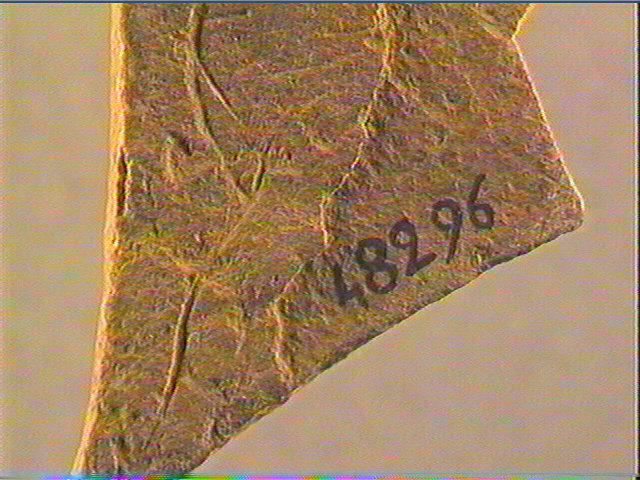 Plaquette (fragment)_5
