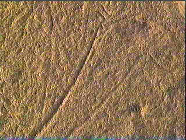 Plaquette (fragment)_5