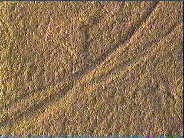 Plaquette (fragment)_6