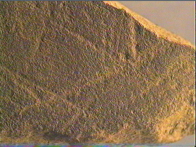Plaquette (fragment)_5