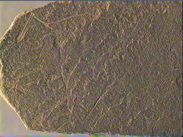 Plaquette (fragment)_3