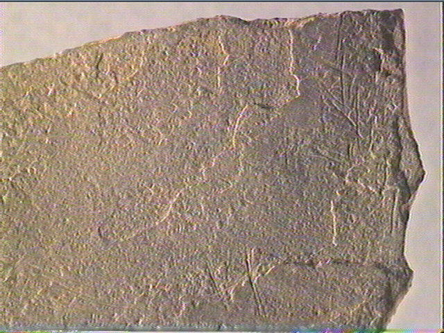Plaquette (fragment)_5
