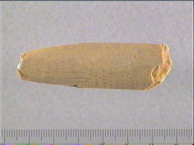 Spatule_0