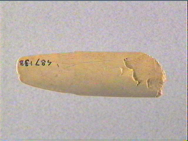 Spatule_2