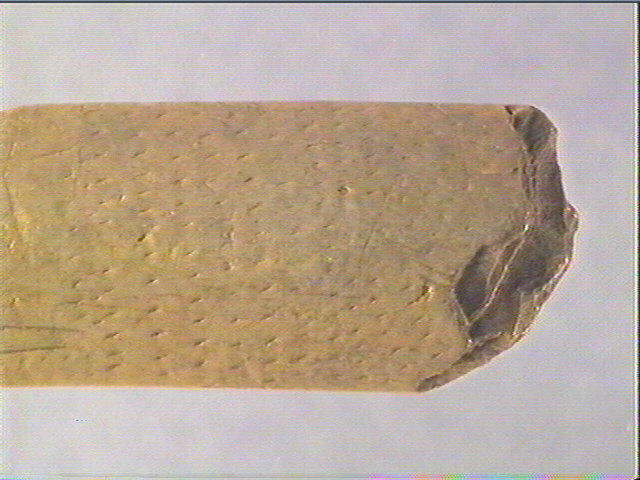 Spatule_3