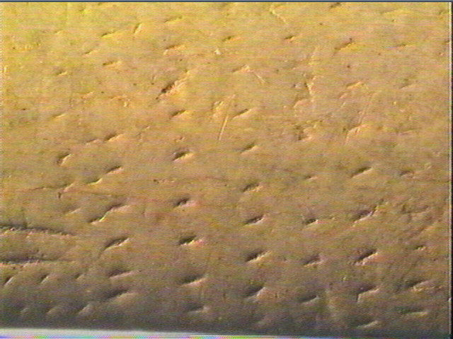 Spatule_6