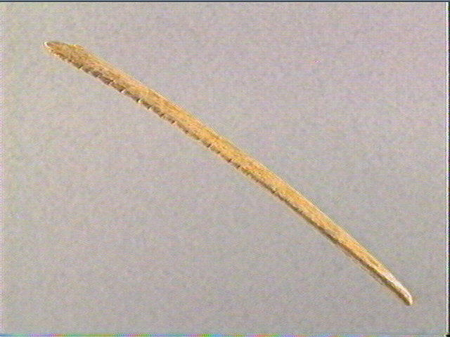 Lissoir_3