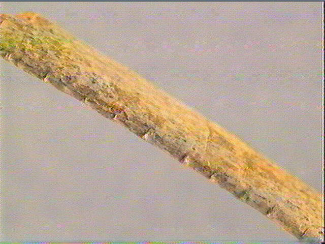 Lissoir_5