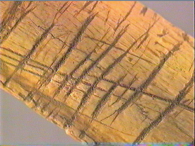 Côte_5