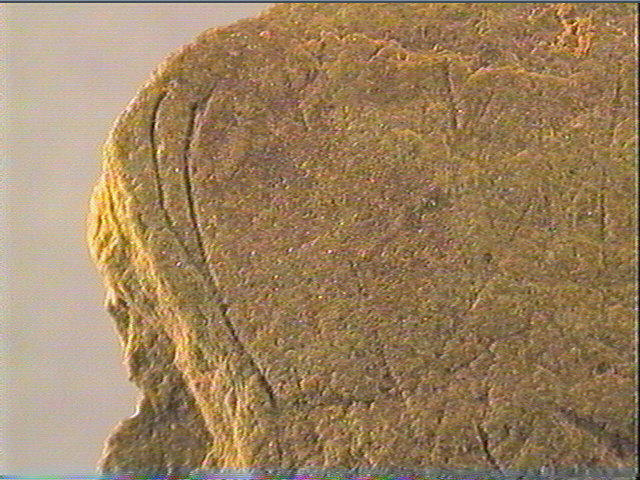 Plaquette (fragment)_5