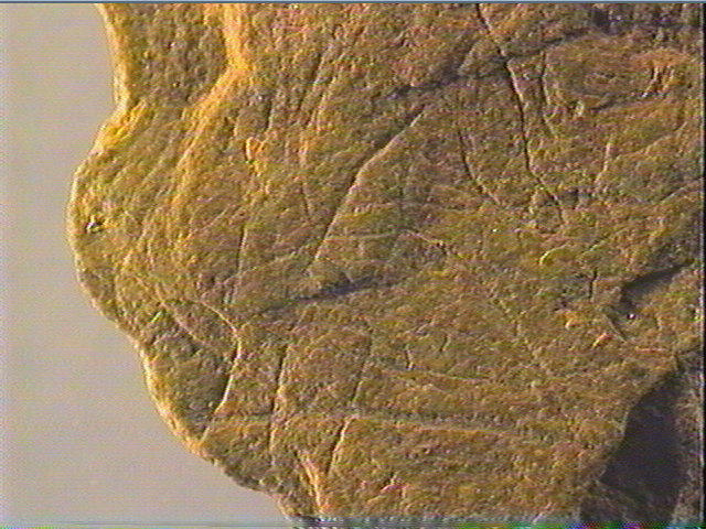 Plaquette (fragment)_6