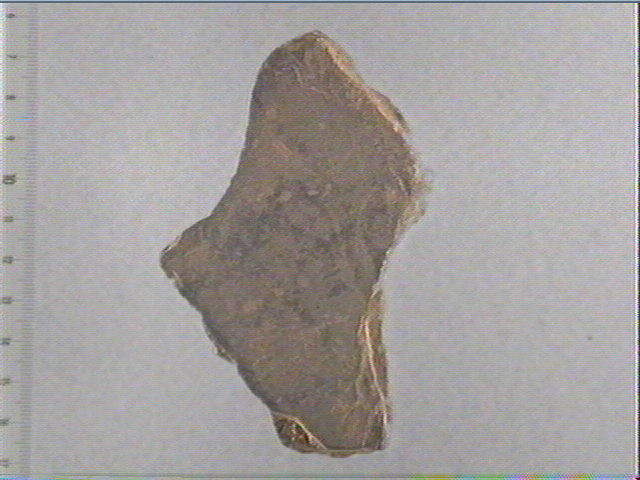 Plaquette (fragment)_0