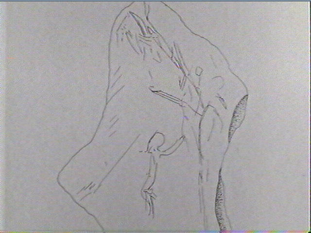 Plaquette (fragment)_1