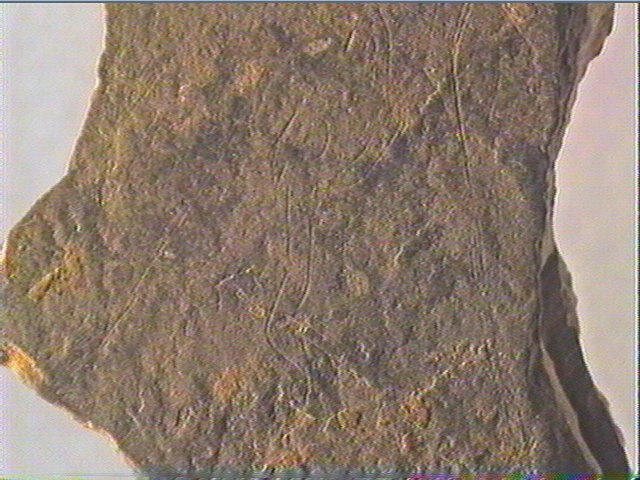 Plaquette (fragment)_2