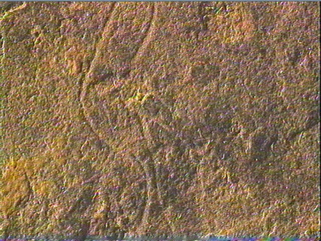Plaquette (fragment)_5