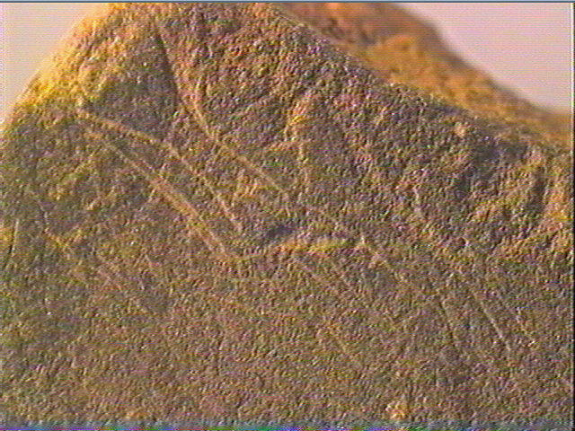Plaquette (fragment)_6