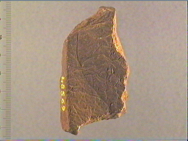 Plaquette (fragment)_0