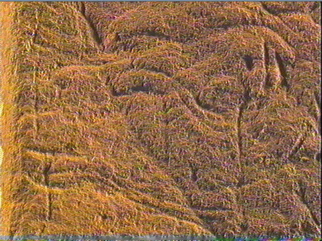 Plaquette (fragment)_5