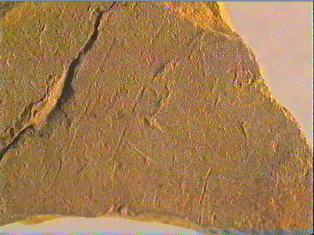 Plaquette (fragment, 2)_2