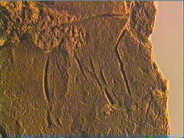 Plaquette (fragment, 2)_6