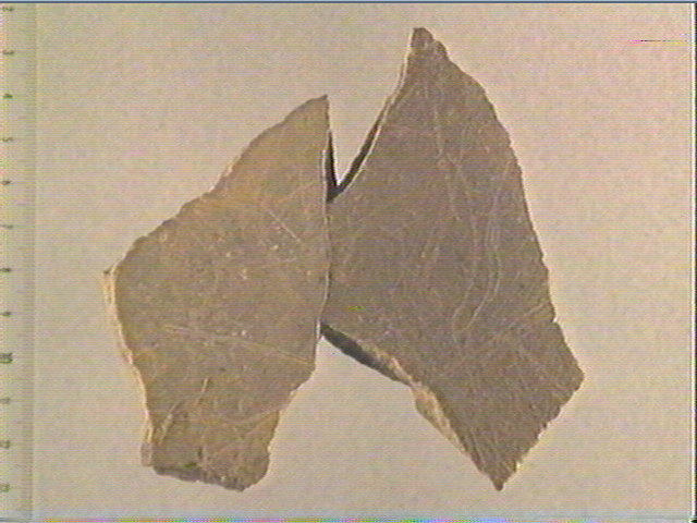 Plaquette (fragment, 2)_0