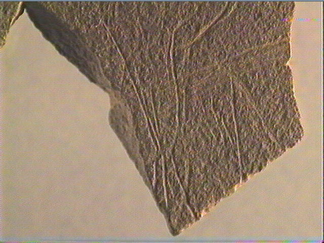 Plaquette (fragment, 2)_5