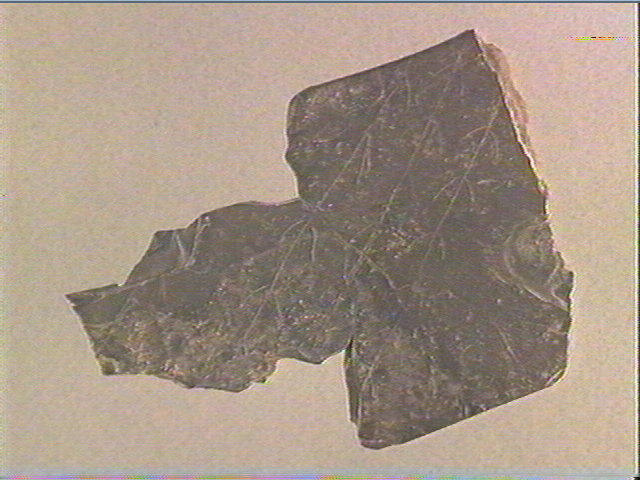 Plaquette (fragment)_0