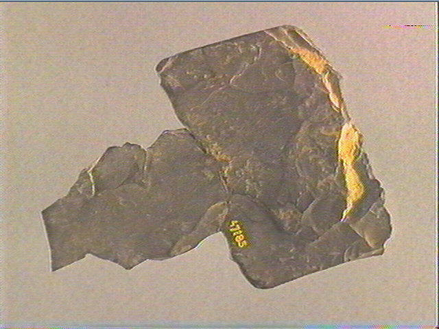 Plaquette (fragment)_1