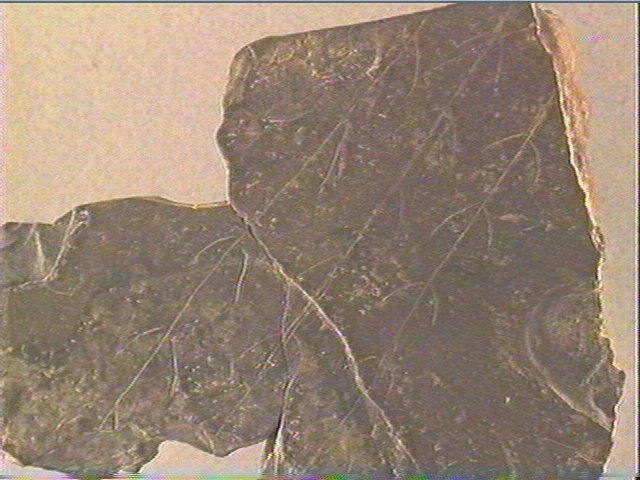 Plaquette (fragment)_3